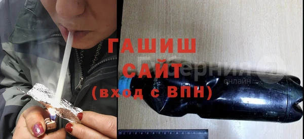 шишки Горняк