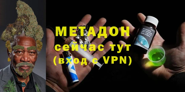 шишки Горняк