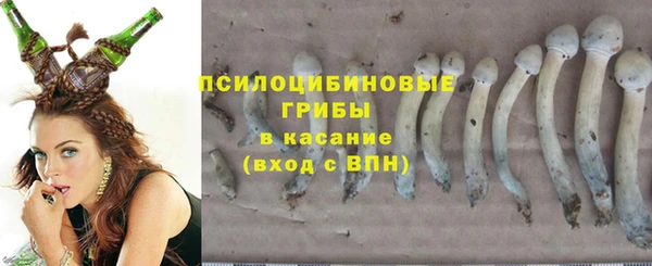 apvp Вязьма