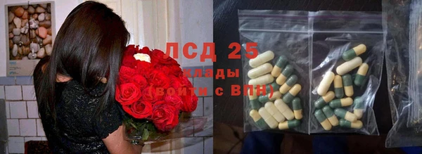 шишки Горняк