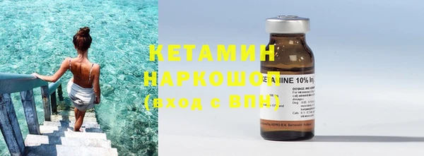 шишки Горняк
