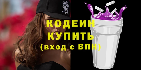 шишки Горняк