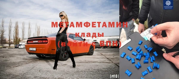 шишки Горняк