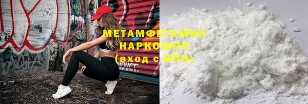 шишки Горняк