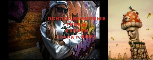 apvp Вязьма