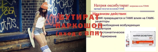 шишки Горняк