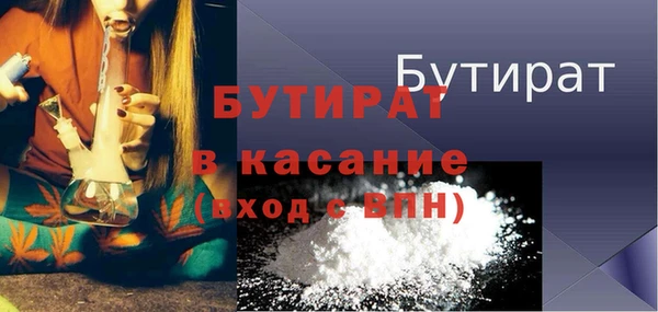 шишки Горняк
