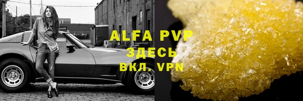 винт Горно-Алтайск