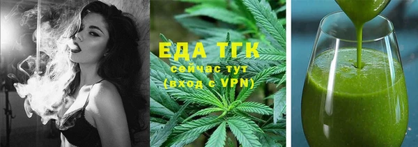 шишки Горняк