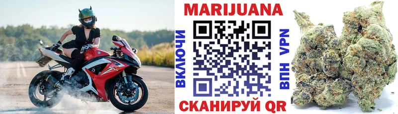 Марихуана сатива  Заринск 